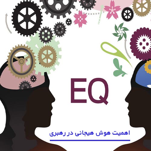 اهمیت هوش هیجانی در رهبری