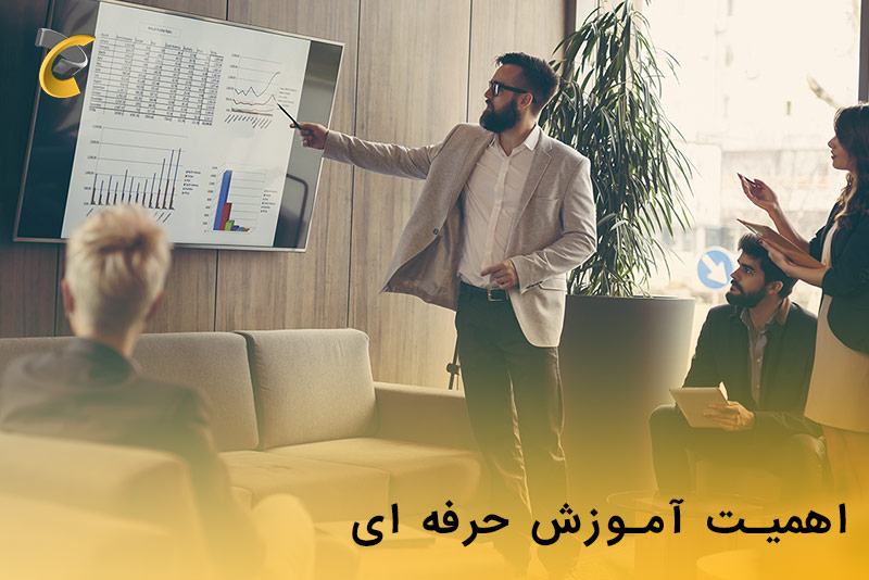 اهمیت آموزش حرفه ای چیست ؟