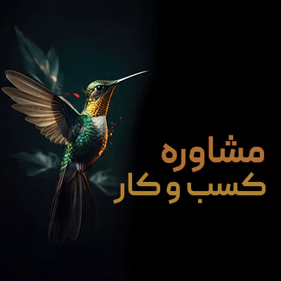 خدمات مشاوره کسب و کار