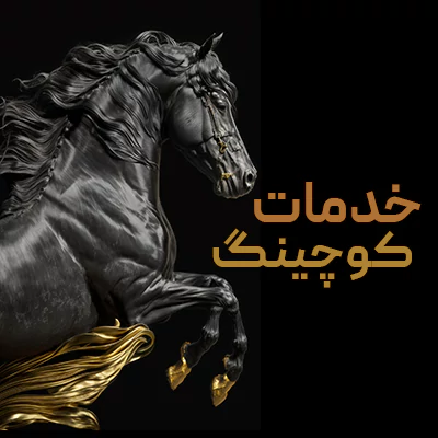 خدمات کوچینگ